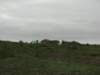 photo10_small.jpg