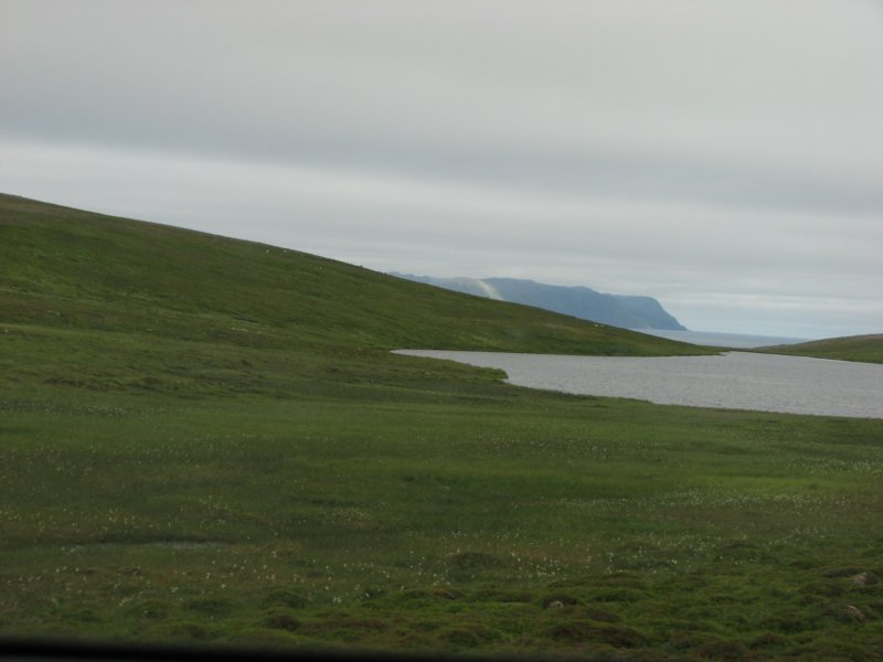 photo37.jpg