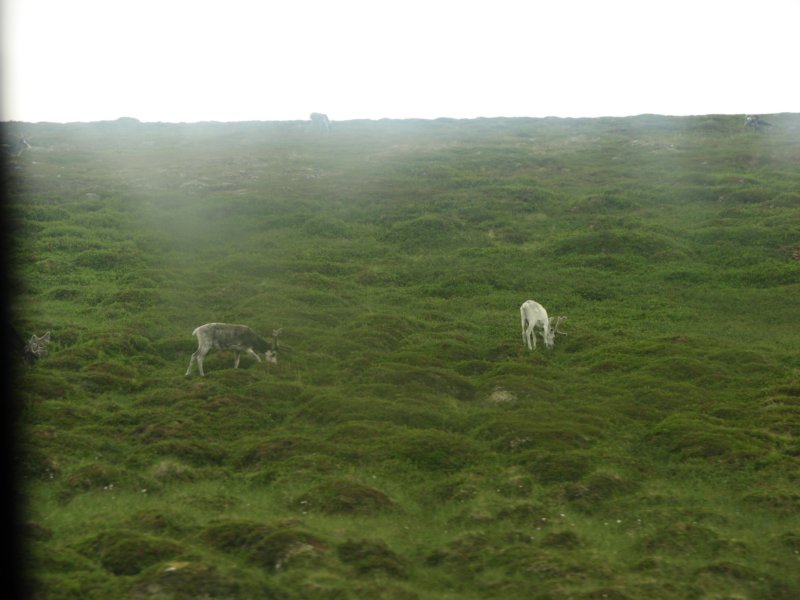 photo40.jpg