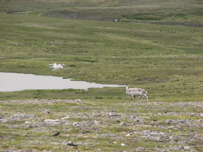 photo43.jpg
