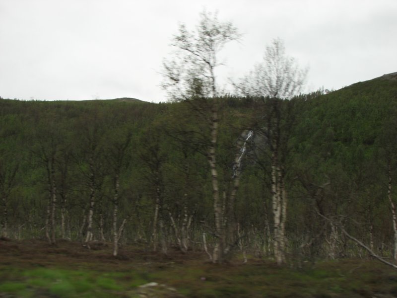 photo7.jpg