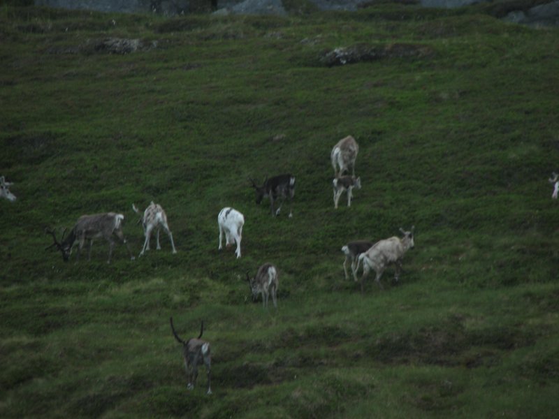 photo76.jpg