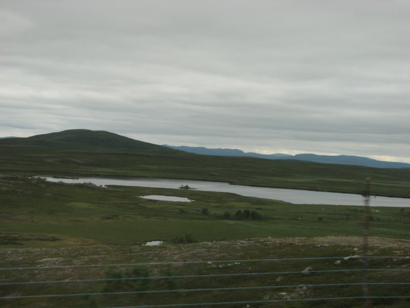 photo9.jpg