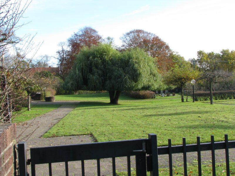 photo1.jpg