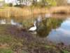 photo11_small.jpg
