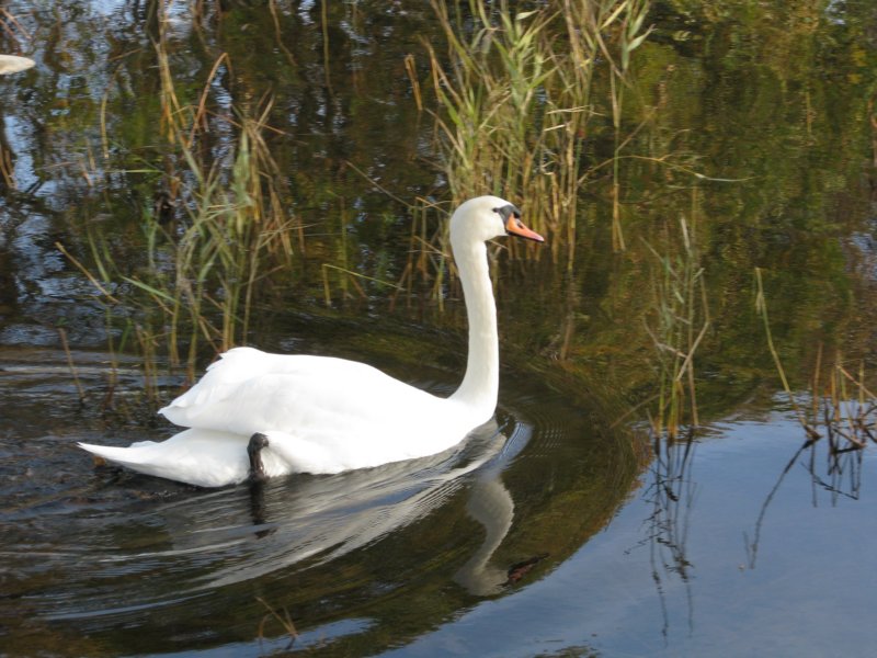 photo12.jpg