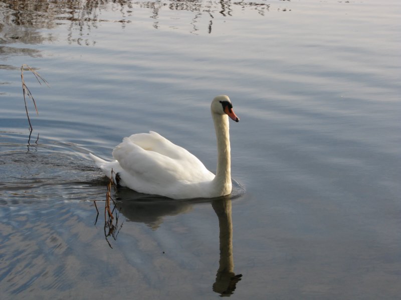 photo14.jpg