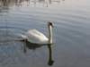 photo14_small.jpg