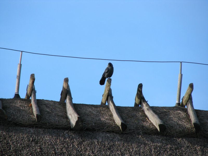 photo2.jpg